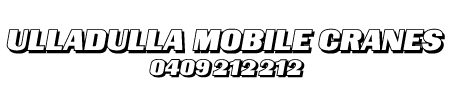 Shoalhaven Cranes Logo